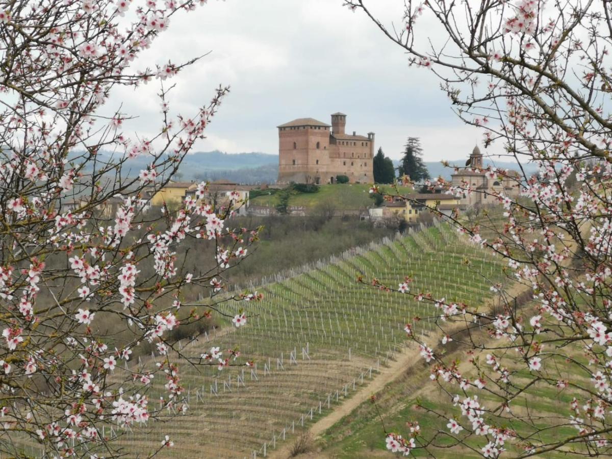 Casa Pulci Hotel Grinzane Cavour Luaran gambar