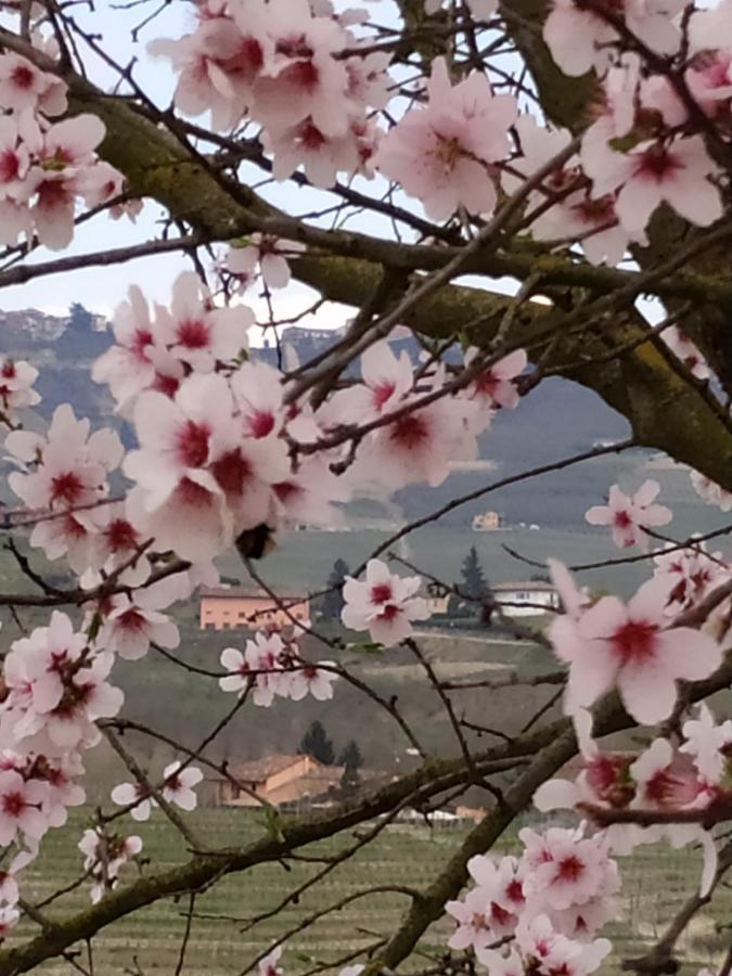 Casa Pulci Hotel Grinzane Cavour Luaran gambar